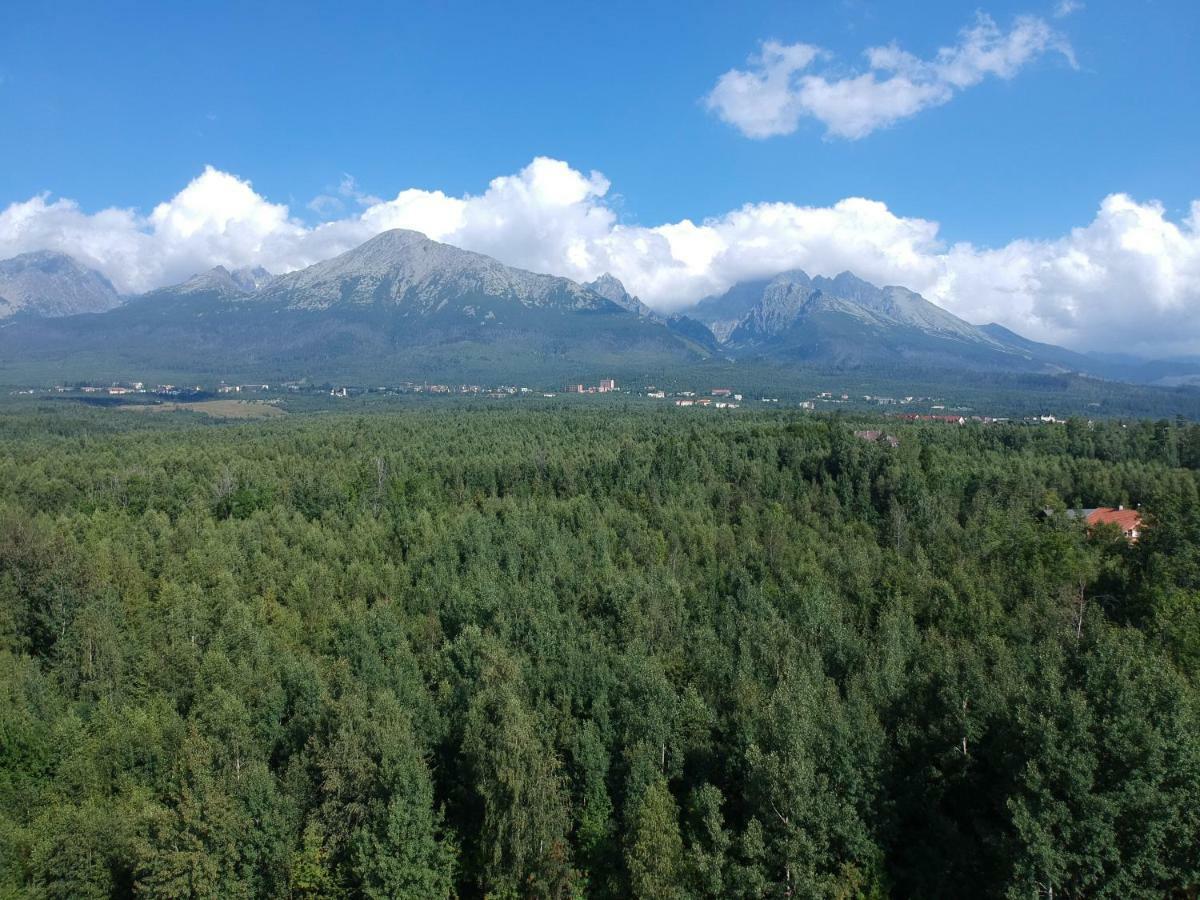 Apartment Eric,High Tatras Vysoké Tatry Kültér fotó